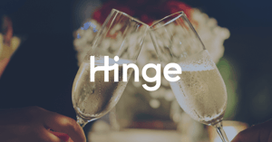 Hinge-thumbnail-1
